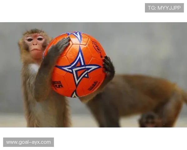 因撞动物而成名的足球明星及其经典事件盘点